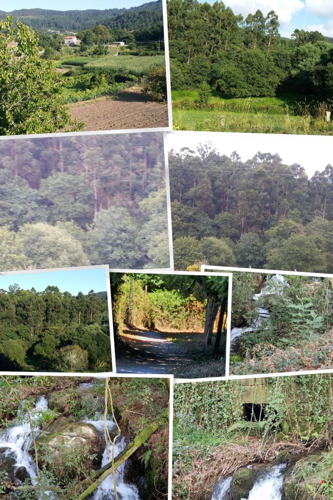 Villa Campo Das Medas , En Medio De La Naturaleza Con Piscina Privada De Sal Gondomar Dış mekan fotoğraf